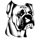 Dog Breed: Boxer, Floppy Ears, Droopy Jaws, 8/31/12-1/23/21, RIP tattoo design idea