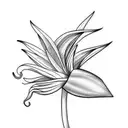 Bird of Paradise tattoo design idea