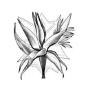 Bird of Paradise tattoo design idea