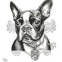 Boston terrier tattoo design idea