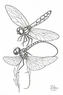 dragonfly tattoo design idea