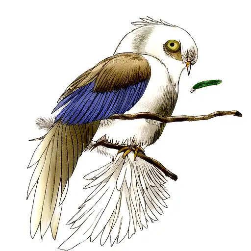 Feather tattoo design idea