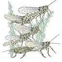 locusts tattoo design idea