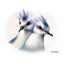 2 doves on collardone tattoo design idea