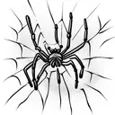 Spider tattoo design idea