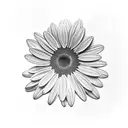 gerber daisy tattoo design idea
