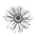 gerber daisy tattoo design idea