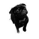 a black pug dog tattoo design idea