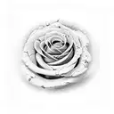 cobra e rosas tattoo design idea