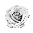 roses with dove and cross tattoo design idea