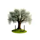  willow tree tattoo design idea