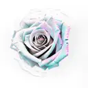 Rose + name "Katie" tattoo design idea