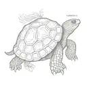 tortoise tattoo design idea