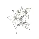 Bougainvillea tattoo design idea