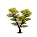 Apple tree tattoo design idea