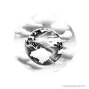 half a earth hidden in clouds cross with cardinal sitting on it  tattoo design idea