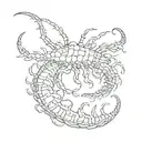 centipede tattoo design idea