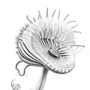 Venus flytrap tattoo design idea