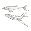 a scuba diver doing snorkeling with a blue whale in Mirissa, Sri Lanka  tattoo design idea
