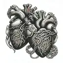 two anatomical hearts wrap together with a chain with a lock on it that says 1/2 tattoo design idea