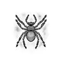 Spider tattoo design idea