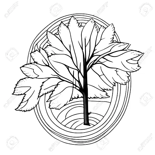 aspen, oak and willow tree  tattoo design idea