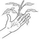 A hand emoji symbolizing little holds a tree between its fingers tattoo design idea