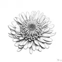 Chrysanthemum tattoo design idea