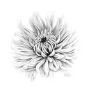 Chrysanthemum tattoo design idea