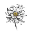 bouquet of flowers with a carnation, daffodil, daisy and 2 asters tattoo design idea