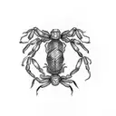 scorpion with wings tattoo design idea