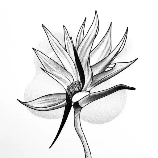 Bird of Paradise tattoo design idea
