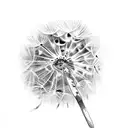 Dandelion  tattoo design idea