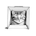 funny cat in a box tattoo design idea
