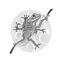 top down view of gecko, then integrate gears tattoo design idea