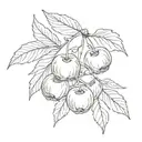 delicate wispy cherry fruit tattoo design idea