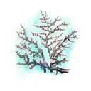 almond blossom tattoo design idea