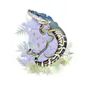 Australian south west carpet python surrounded by native Australian flowers and foliage tattoo design idea
