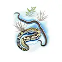 Australian south west carpet python surrounded by native Australian flowers and foliage tattoo design idea