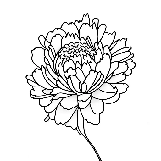 carnation, daisy, rose, water lily, cosmos tattoo design idea