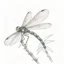 A dragonfly. The dragonfly is semicolon (» ; «) and the wings are drawn in detail and from the semico tattoo design idea