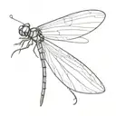A dragonfly whose body is made of a semicolon (» ; «) and the wings are drawn in detail and from the semico tattoo design idea