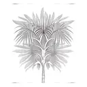 Palm Tree tattoo design idea