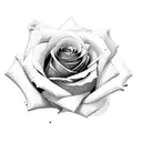 rose with "more today than yesterday" as the stem tattoo design idea
