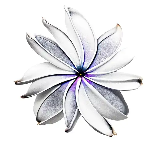 Plumeria flower with runas and the number 7550 tattoo design idea