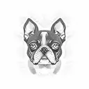 Boston terrier  tattoo design idea