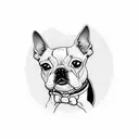 Boston terrier  tattoo design idea