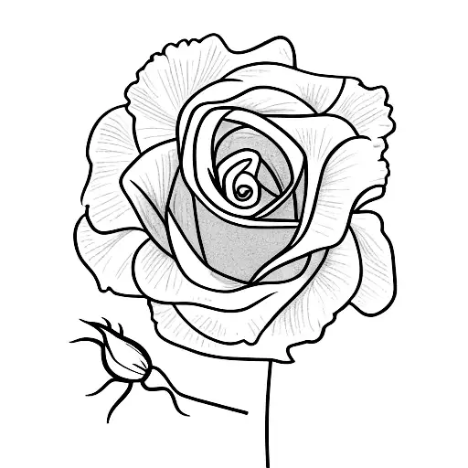 Two flowers, a rose and a carnation with yours stalk crossing  tattoo design idea