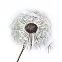 Dandelion tattoo design idea