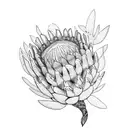 king protea tattoo design idea